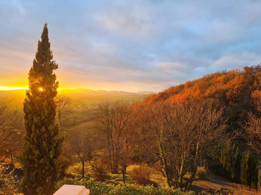Pierres Dorees : Calme Et Detente A 2 Pas De Lyon Charnay  Esterno foto